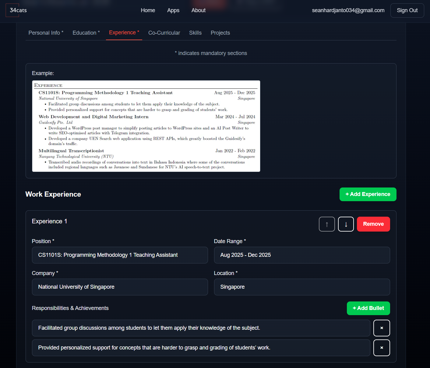 Input your work experience